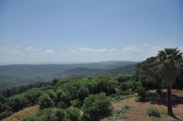 041a215ac6b2ff07b956deebf0fb32e2_1495154