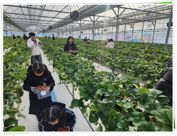 22098b71203b1515787e70ff188033bf_1738477