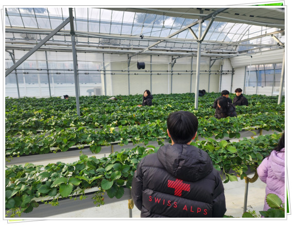 22098b71203b1515787e70ff188033bf_1738477