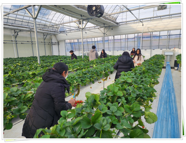 22098b71203b1515787e70ff188033bf_1738477