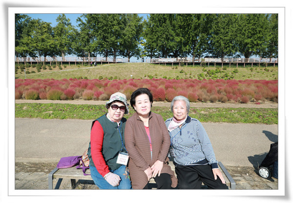 2e58d2b4c1e216b9954f9c2acab0574a_1762234