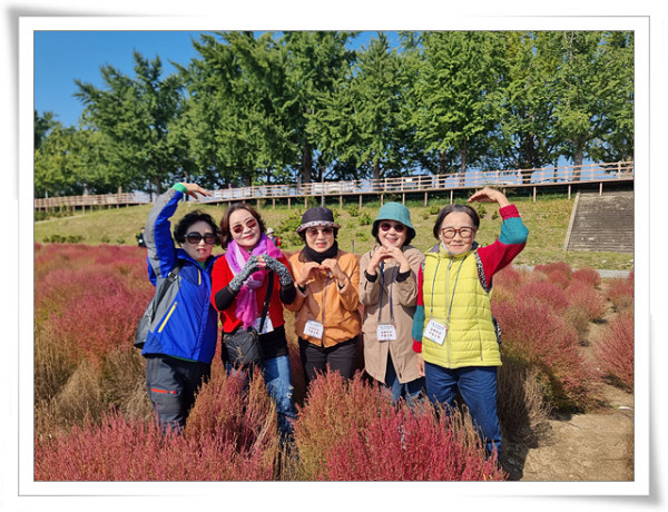 2e58d2b4c1e216b9954f9c2acab0574a_1762234